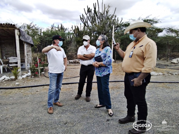 Director General de Ganadería visita proyectos ovino caprinos en Baní y Azua
