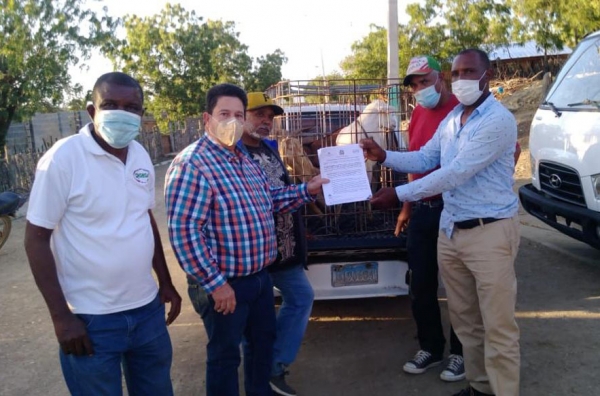 La Dirección de Ganadería entrega padrotes ovicaprinos a productores