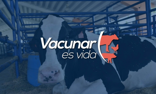 Dirección de Ganadería desarrolla la campaña “Vacunar es vida”