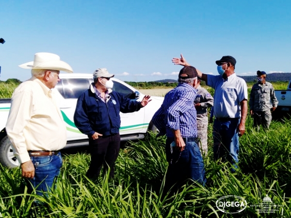 El Director General de la Ganadería visita proyecto de fomento de pastos en Dajabón