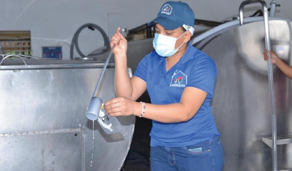 Ganadería y Conaleche siguen constante monitoreo de calidad de leche